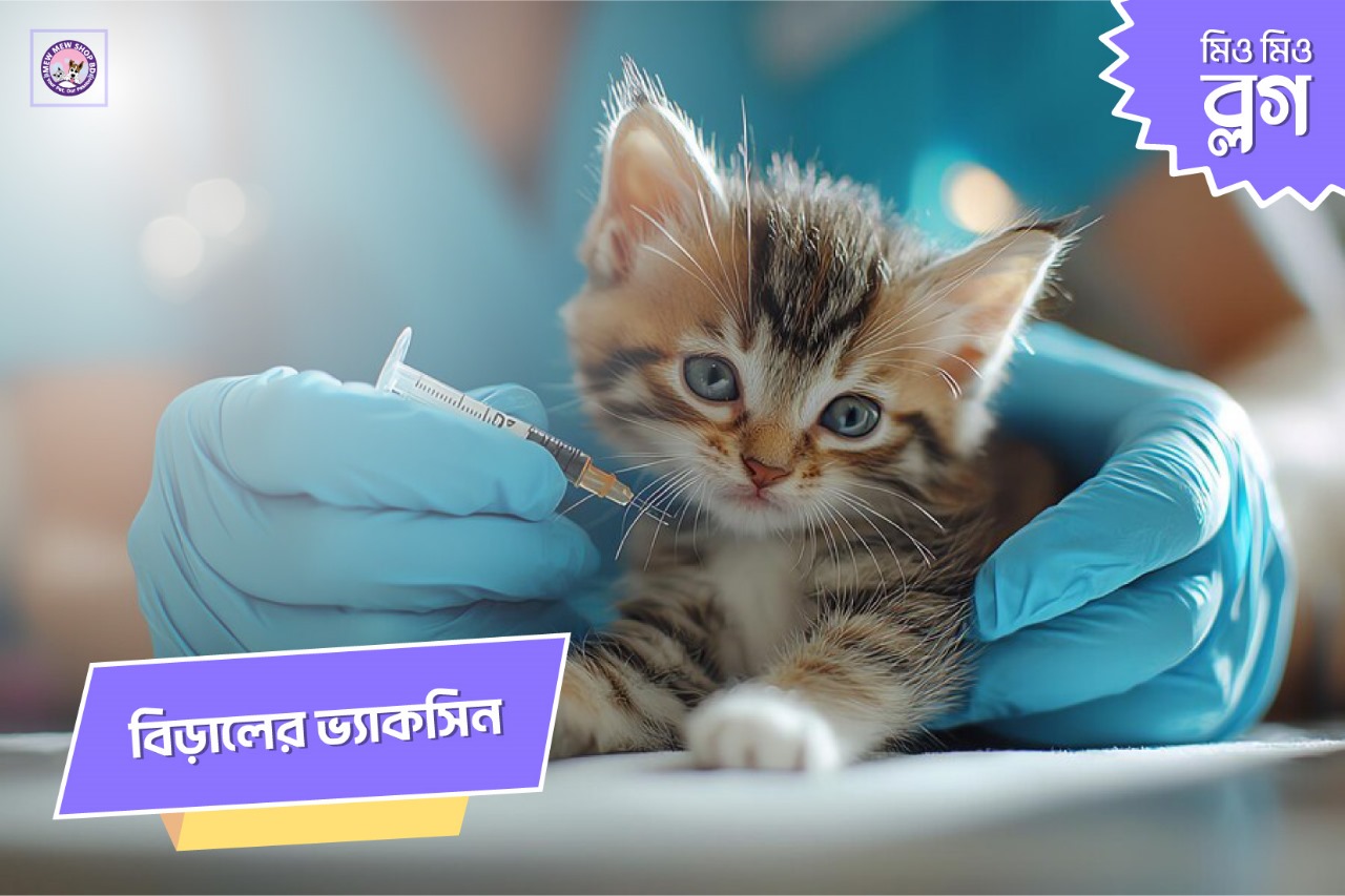 বিড়ালের ভ্যাকসিন